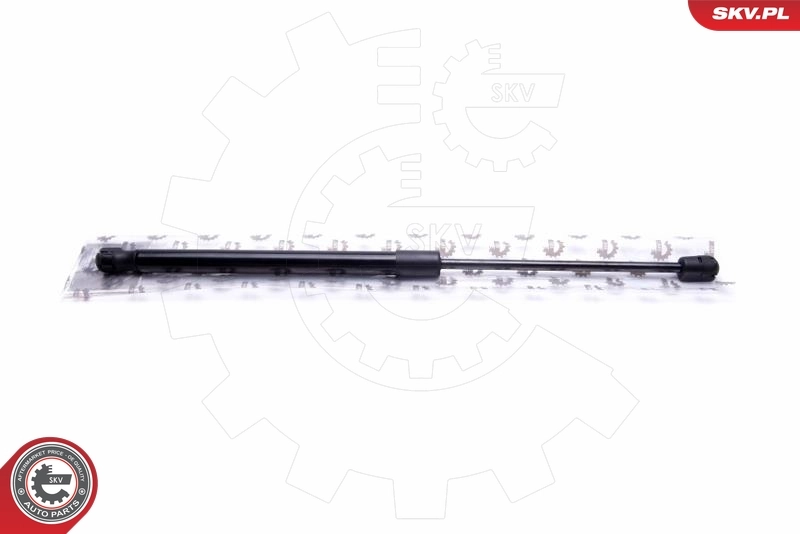 Gas Spring, boot/cargo area